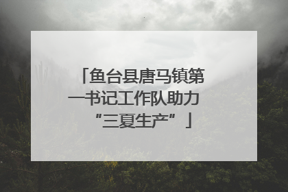 鱼台县唐马镇第一书记工作队助力“三夏生产”