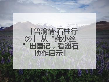 鲁渝情·石柱行② ︳从“莼小丝”出国记，看淄石协作启示