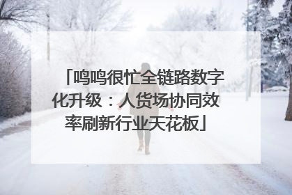 鸣鸣很忙全链路数字化升级：人货场协同效率刷新行业天花板