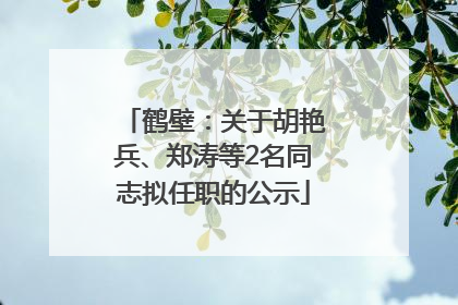 鹤壁：关于胡艳兵、郑涛等2名同志拟任职的公示