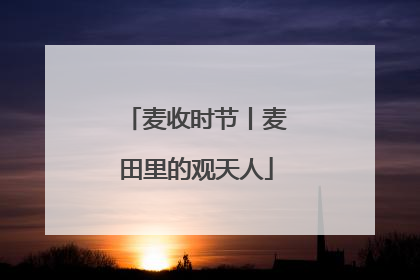 麦收时节丨麦田里的观天人