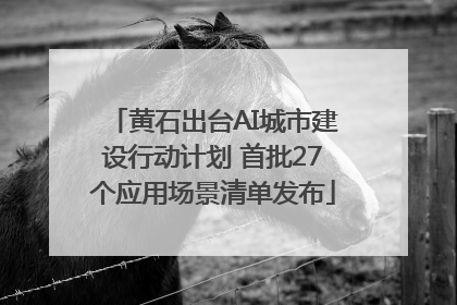 黄石出台AI城市建设行动计划 首批27个应用场景清单发布