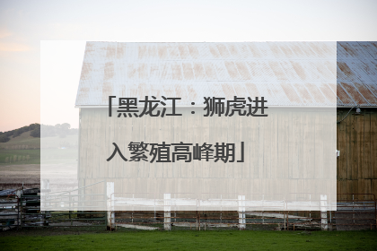 黑龙江：狮虎进入繁殖高峰期