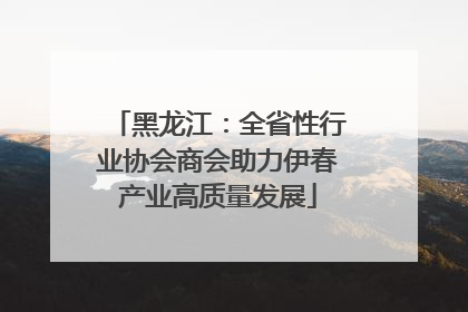 黑龙江：全省性行业协会商会助力伊春产业高质量发展