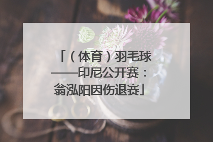 （体育）羽毛球——印尼公开赛：翁泓阳因伤退赛