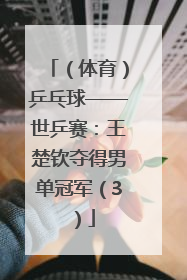 （体育）乒乓球——世乒赛：王楚钦夺得男单冠军（3）