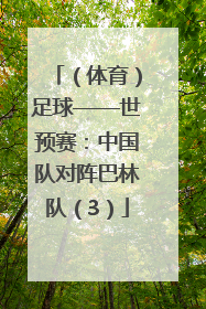 （体育）足球——世预赛：中国队对阵巴林队（3）
