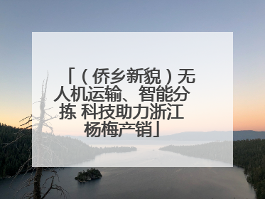 （侨乡新貌）无人机运输、智能分拣 科技助力浙江杨梅产销
