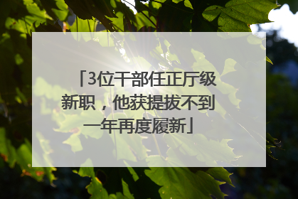 3位干部任正厅级新职，他获提拔不到一年再度履新