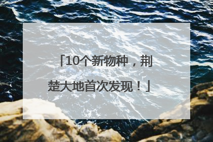 10个新物种，荆楚大地首次发现！