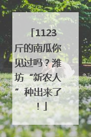 1123斤的南瓜你见过吗？潍坊“新农人”种出来了！
