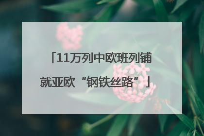 11万列中欧班列铺就亚欧“钢铁丝路”