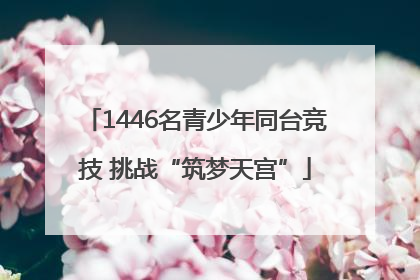 1446名青少年同台竞技 挑战“筑梦天宫”