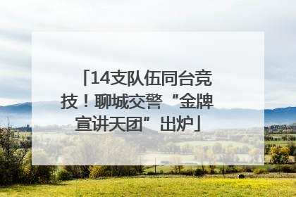 14支队伍同台竞技！聊城交警“金牌宣讲天团”出炉