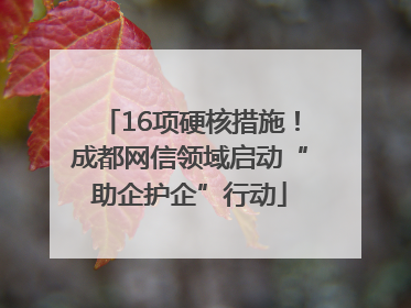 16项硬核措施！成都网信领域启动“助企护企”行动
