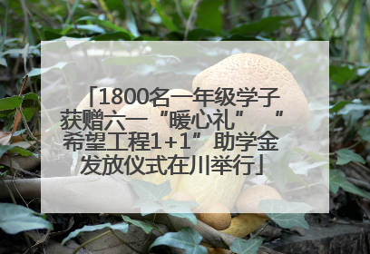 1800名一年级学子获赠六一“暖心礼” “希望工程1+1”助学金发放仪式在川举行
