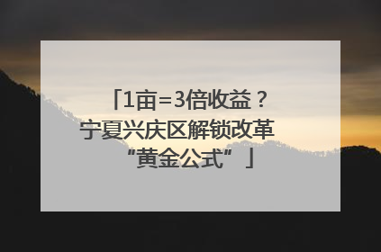 1亩=3倍收益？宁夏兴庆区解锁改革“黄金公式”