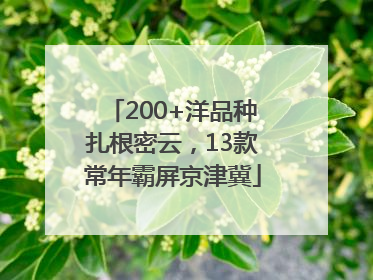 200+洋品种扎根密云，13款常年霸屏京津冀