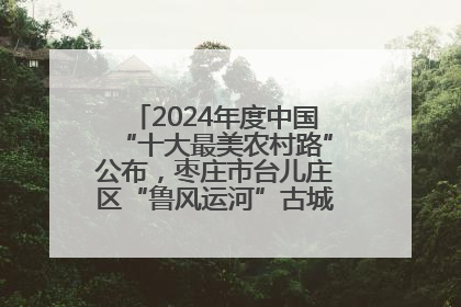 2024年度中国“十大最美农村路”公布，枣庄市台儿庄区“鲁风运河”古城文化廊道上榜！