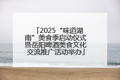 2025“味道湖南”美食季启动仪式暨岳阳啤酒美食文化交流推广活动举办