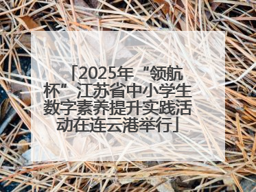 2025年“领航杯”江苏省中小学生数字素养提升实践活动在连云港举行