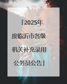 2025年度临沂市各级机关补充录用公务员公告
