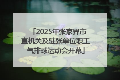2025年张家界市直机关及驻张单位职工气排球运动会开幕