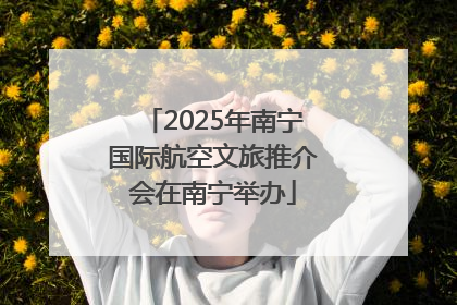 2025年南宁国际航空文旅推介会在南宁举办
