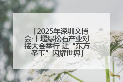 2025年深圳文博会·十堰绿松石产业对接大会举行 让“东方圣玉”闪耀世界