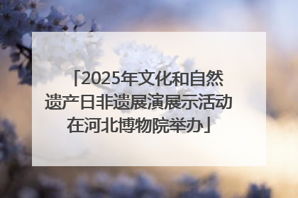 2025年文化和自然遗产日非遗展演展示活动在河北博物院举办