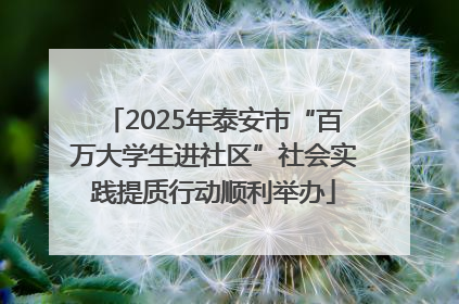 2025年泰安市“百万大学生进社区”社会实践提质行动顺利举办