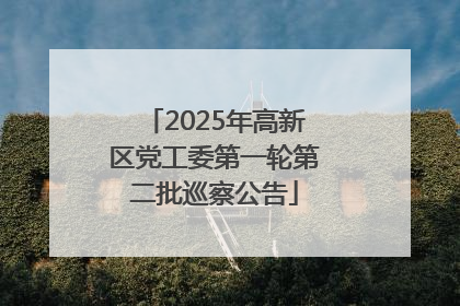 2025年高新区党工委第一轮第二批巡察公告