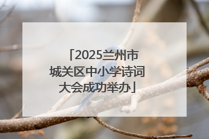 2025兰州市城关区中小学诗词大会成功举办
