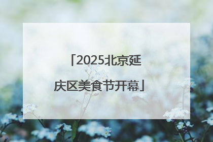 2025北京延庆区美食节开幕