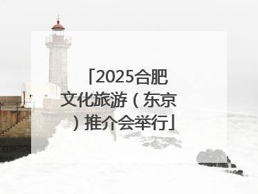 2025合肥文化旅游（东京）推介会举行