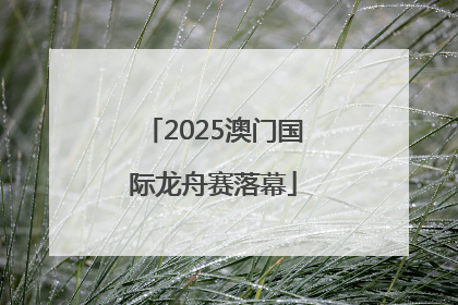 2025澳门国际龙舟赛落幕