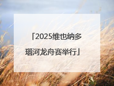 2025维也纳多瑙河龙舟赛举行