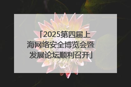 2025第四届上海网络安全博览会暨发展论坛顺利召开