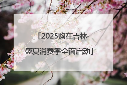 2025购在吉林·盛夏消费季全面启动