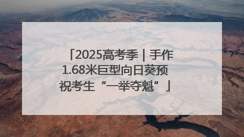 2025高考季｜手作1.68米巨型向日葵预祝考生“一举夺魁”