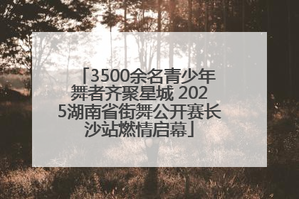 3500余名青少年舞者齐聚星城 2025湖南省街舞公开赛长沙站燃情启幕