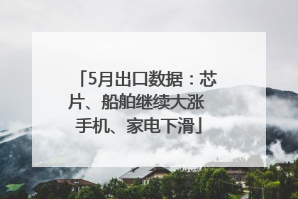5月出口数据：芯片、船舶继续大涨 手机、家电下滑