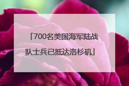700名美国海军陆战队士兵已抵达洛杉矶