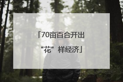 70亩百合开出“花”样经济