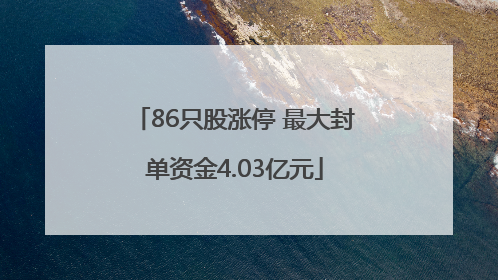 86只股涨停 最大封单资金4.03亿元