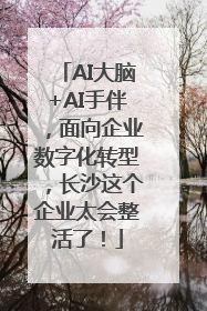AI大脑+AI手伴，面向企业数字化转型，长沙这个企业太会整活了！