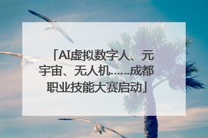 AI虚拟数字人、元宇宙、无人机……成都职业技能大赛启动