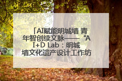 AI赋能明城墙 青年智创续文脉——“AI+D Lab：明城墙文化遗产设计工作坊”在南京开营