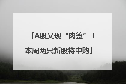 A股又现“肉签”！本周两只新股将申购