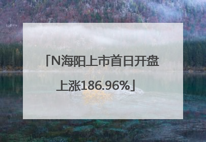 N海阳上市首日开盘上涨186.96%